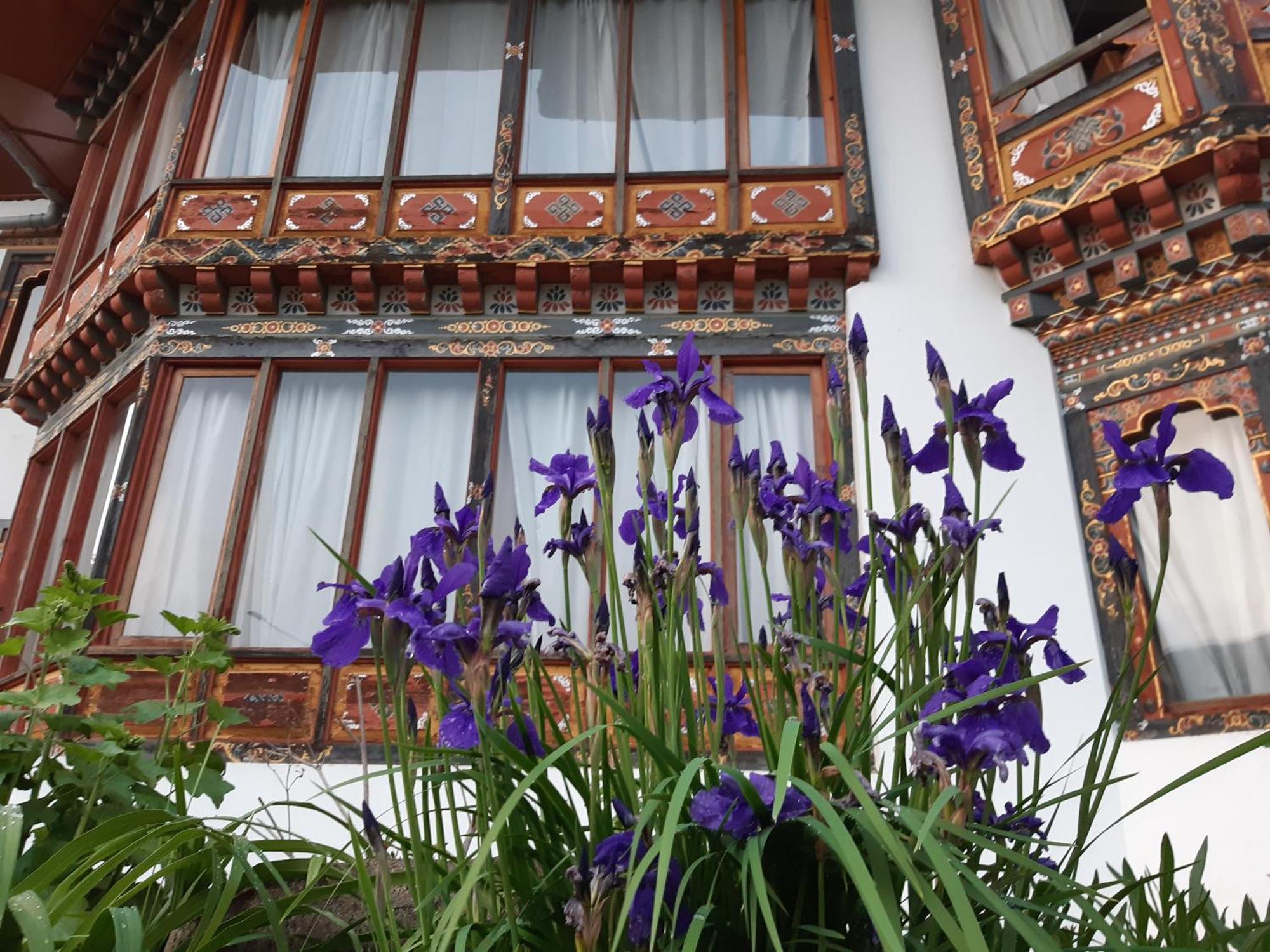 Kisa Villa Thimphu Eksteriør billede